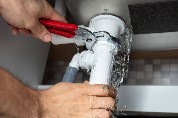 Best Mold removal after water damage  in La Harpe, IL