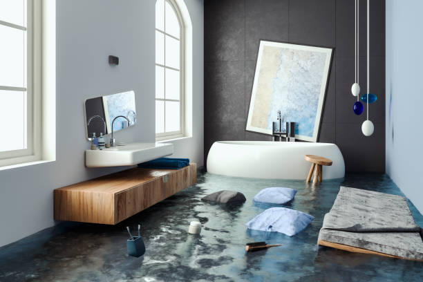 Best Local water damage restoration  in La Harpe, IL