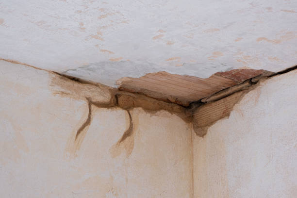 Best Flood damage cleanup  in La Harpe, IL