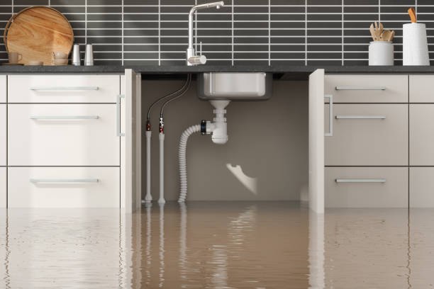Best Mold removal after water damage  in La Harpe, IL