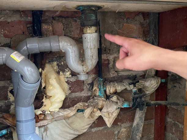 Best Water damage restoration near me  in La Harpe, IL