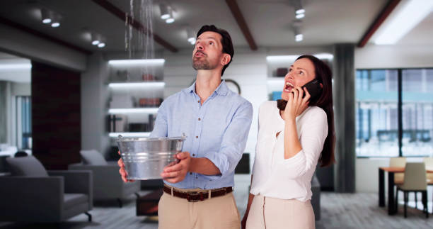  La Harpe, IL Water damage restoration Pros