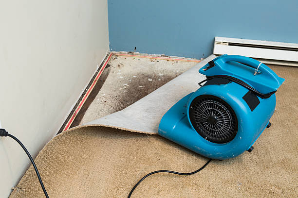 Best Residential water damage restoration  in La Harpe, IL